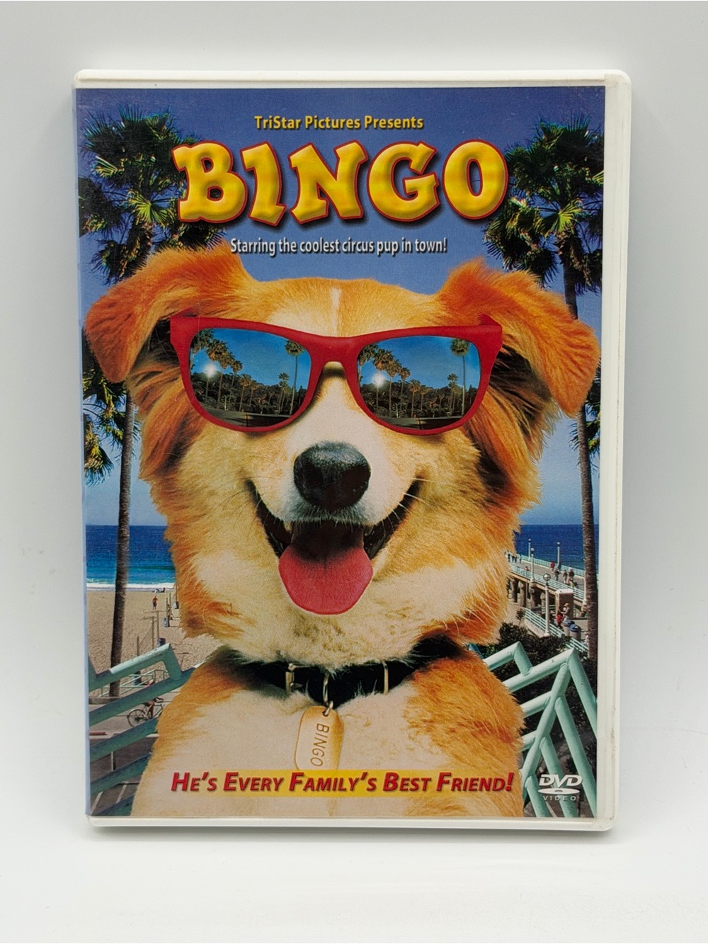 Bingo (DVD, 2003) Full Screen Edition - Cindy Williams & David Rasche
